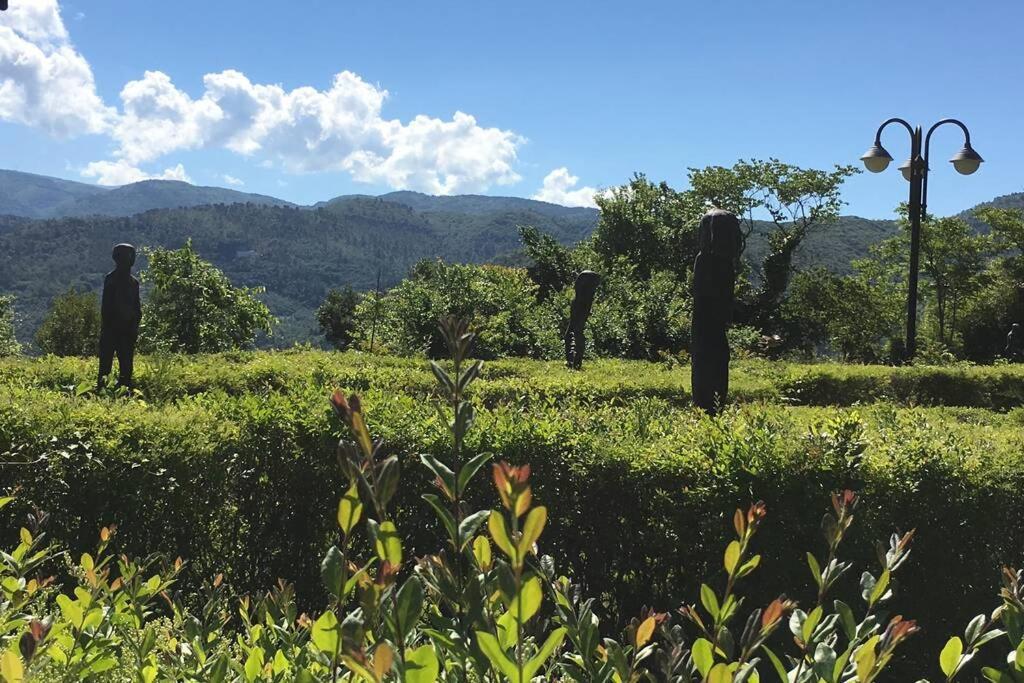 Authentic Villa Surrounded By Nature 特尔尼 外观 照片